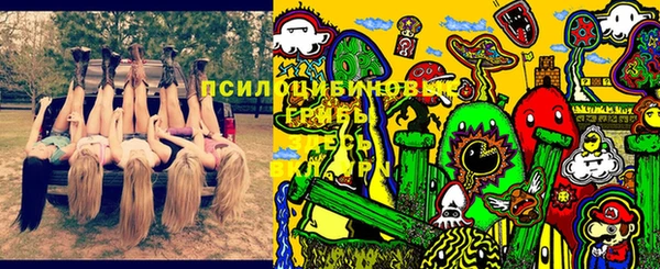 не бодяженный Алексин