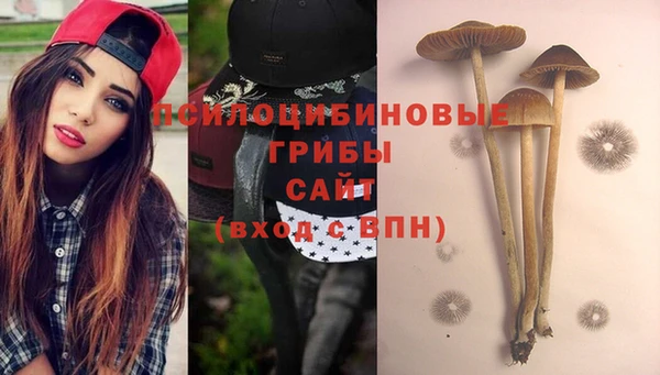 твердый Аркадак