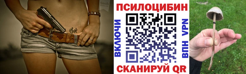 Псилоцибиновые грибы Psilocybe  Байкальск 